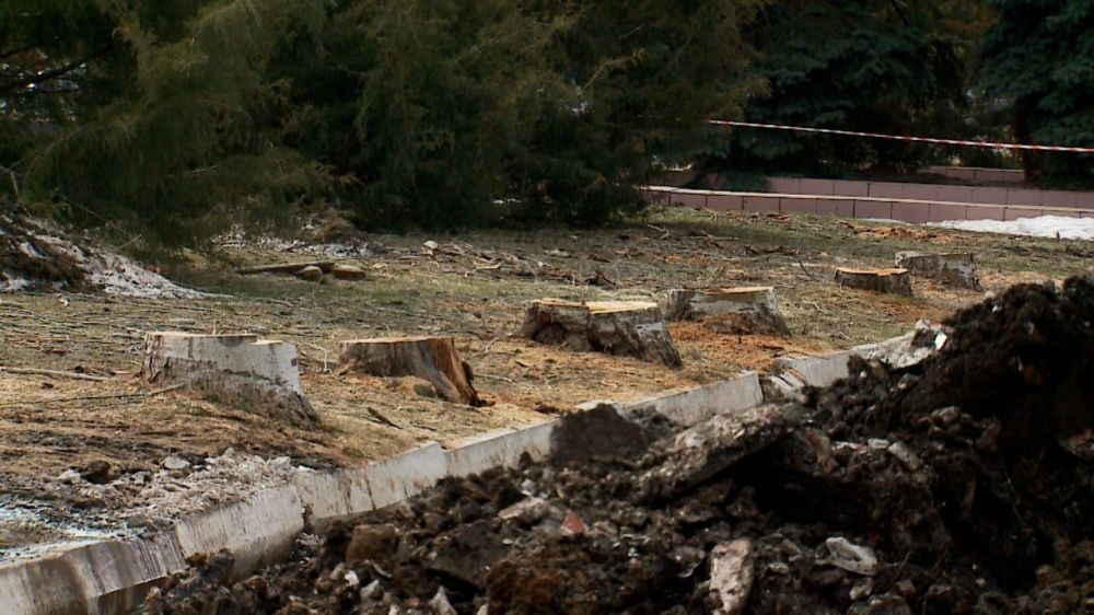 В Краснодоне началось благоустройство Аллеи Дружбы