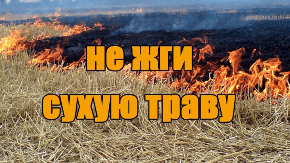 �������� ����� ����� �������� ������� ���������� ������� ��������� ������������ ����� ��-�� ������������� ��������� � ����� � ������� �������