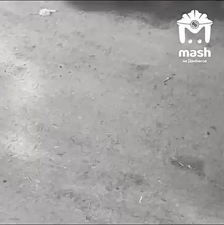 �������� 5-� ����� � �������� ������������ ��-�� ��������� � �����