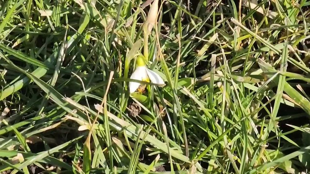 ��� � �� �������, ��� ��� �� ������� ������ ����� ���� ������ - � ������������ ����� ����������� ��� ����� ������ ������ �������� �����