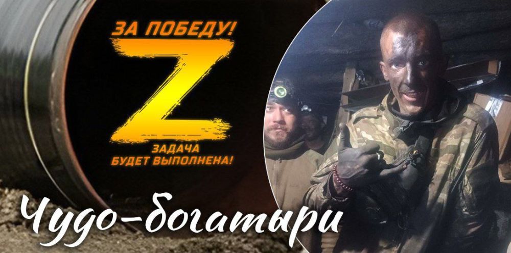 ���� �������� �������� ���������