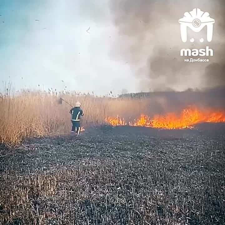 ���� ����������� ���������� ����������, ����� �������� ��� ������� (!) �������� ������ � ��� � ������ ������ �����