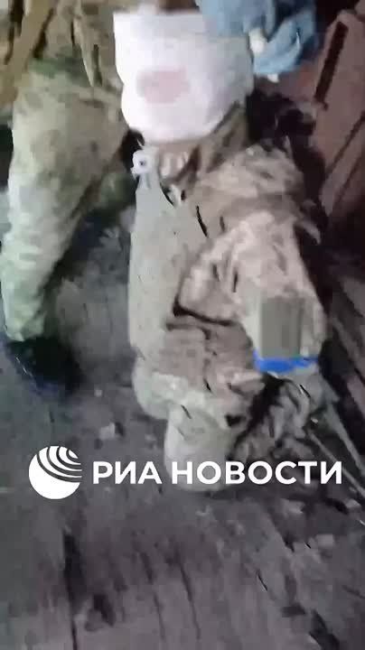 ���, �. �����������. � ����� ��, ��� � ��������� ��� �� ��������. ������� ������������, ���������������� ����������� 66 �������� ���, �� ��������� � ������� ���������