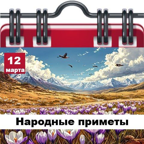 �������� ������� 12 �����