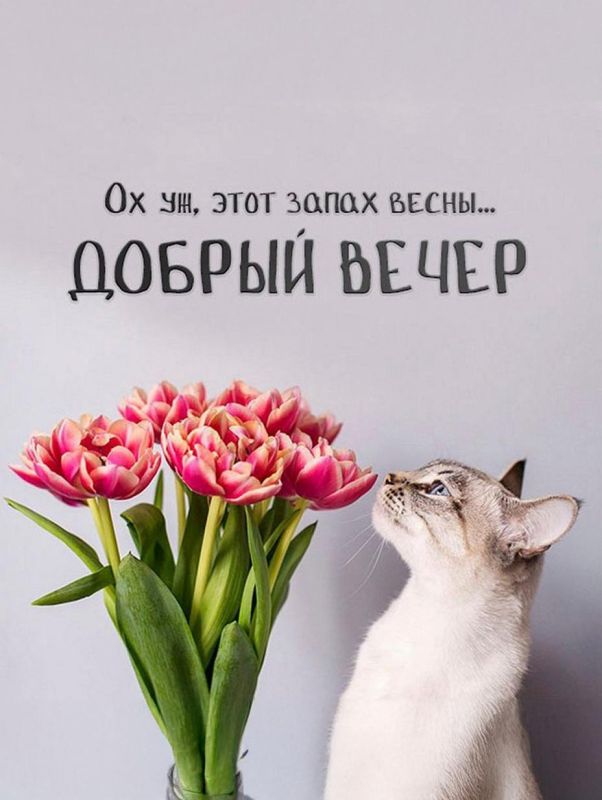 ��������� ����