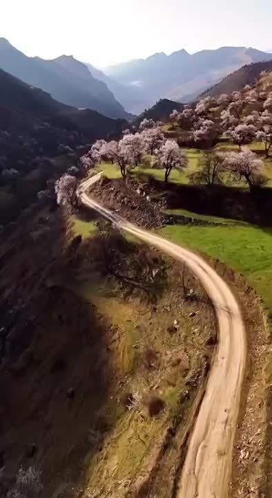 ����� � ��������� � ��� ��������� ������ � ������, ������� ��������� � ���� ��������