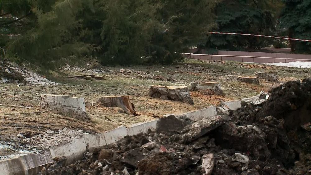 Аллея Дружбы в Краснодоне: Символ крепкой дружбы между Тюменью и Краснодоном!