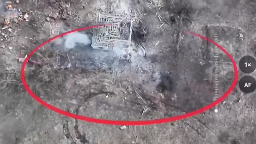 Евгений Поддубный: Колонна боевиков *"Азова" разбита нашими бойцами в ЛНР