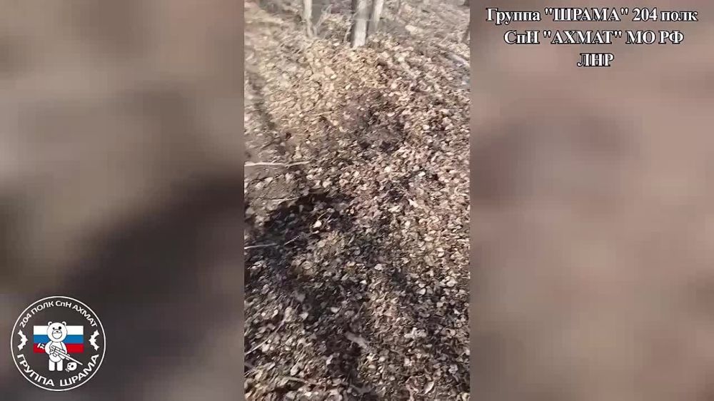 �� ����� ������ ������� ��������� ��������� ����� ����������� �� ������������ ����������� ����, ���������� �����������