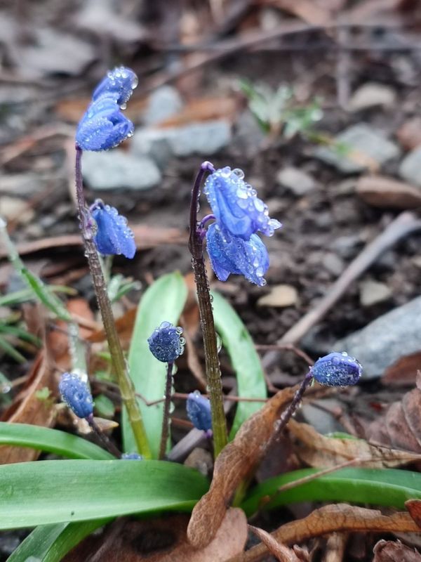 Доброе утро, ровенчане!
