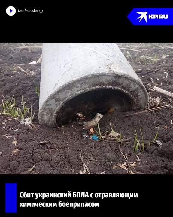 ����� �� ���� ������� ������������� ���������: � ��� ����� ���������� ����������� � ����������� ���������� �����������