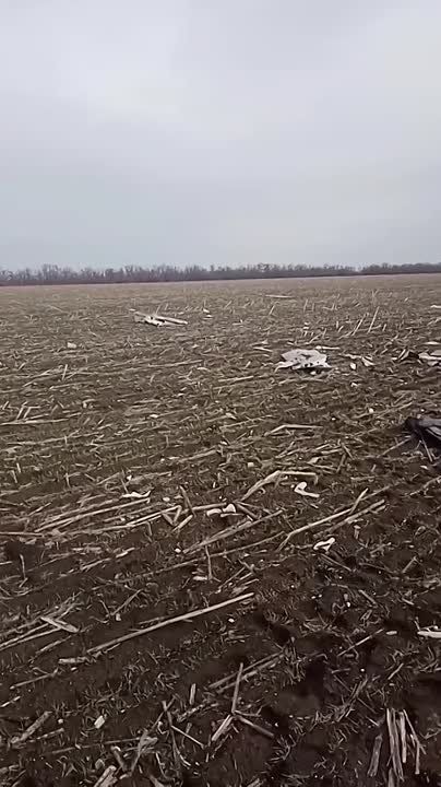 ���������� ������������� ����� ���������� ���� � ����������� ���������� ����������� � ���, ������� ����� ��� �� ������ ��������