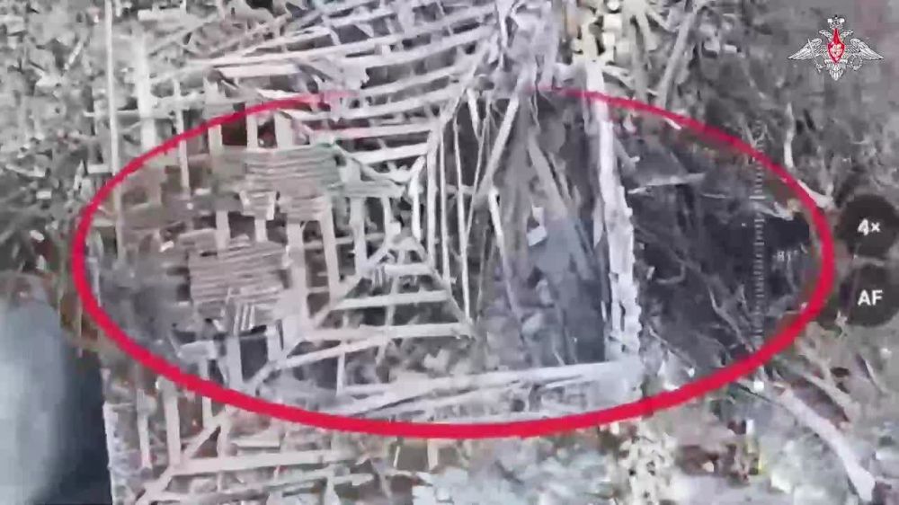    :       &quot;&quot;