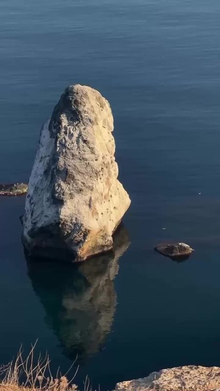 ������ �������� �����. � ������ �������� ������ � ��������� ������ ����� ����� ������� �������! : vys. olya ������. ��������������