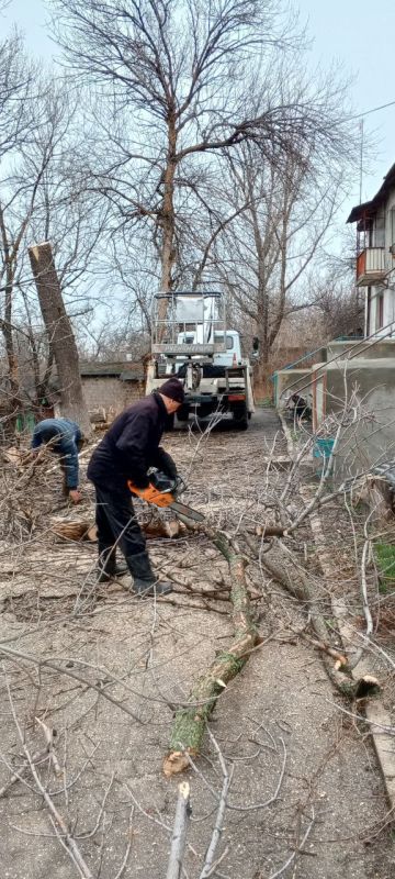 �������� ��������: ������������ ����������� � ��������