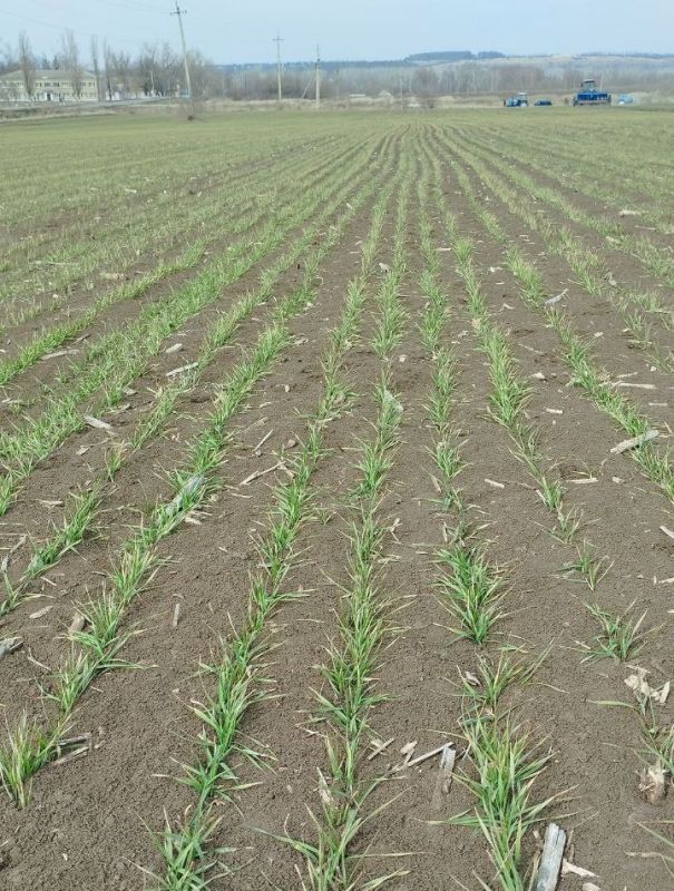 �������� ������: ���������� ��������� ������� ������ ������� � ������������� ������������� ������