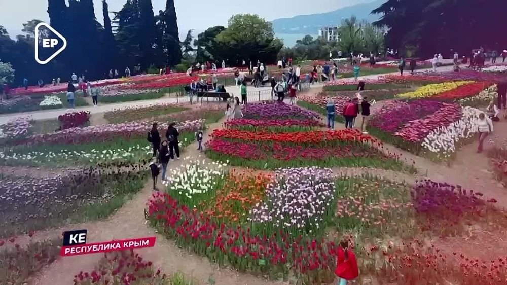 ������ �������: 11 ��� - �����!. 18 ����� 2014 ���� � ����� ������ ����������, �� ������� ����������� ������� ���������� ������������� ����������� � ������