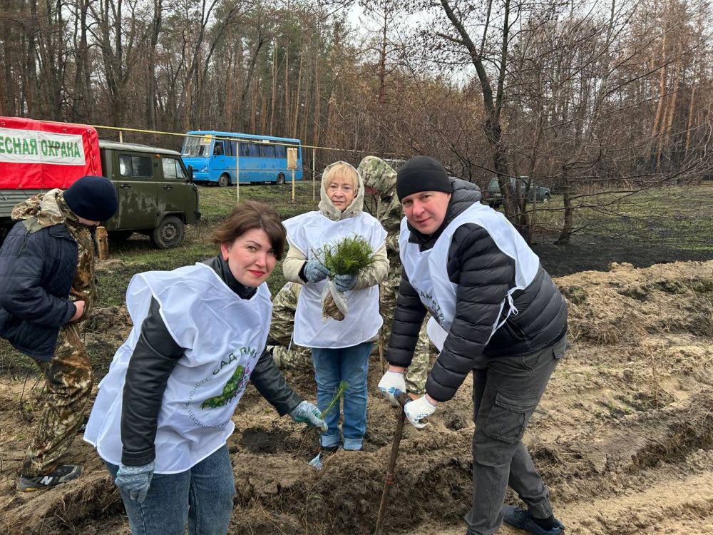 ������� ��������: ������� � ���������� 80-����� ������ � ������� ������������� ����� � ��������-��������� ������ ���������� ������������� ����� ���� ������