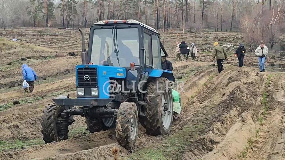 ��������� ������������� ����� ���� ������ �������� ����� 15 ���