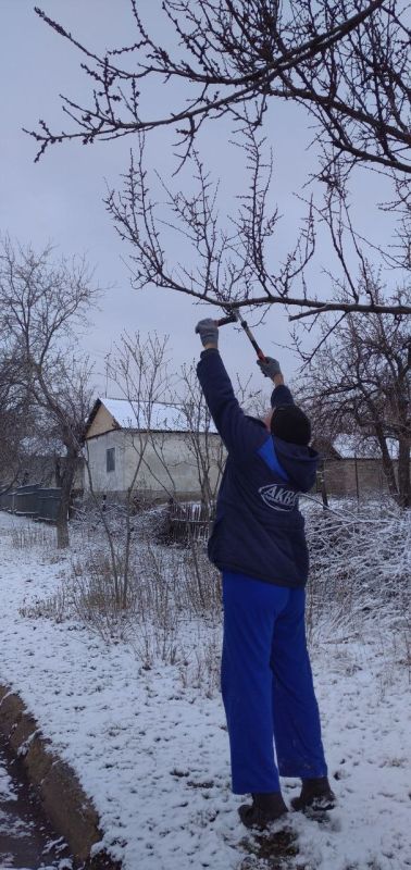 �������� ��������: ������������� � ��������