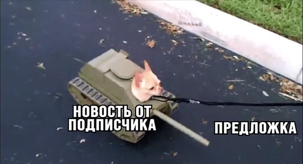 ������, ��� ���, � ��� ����� ���� ����