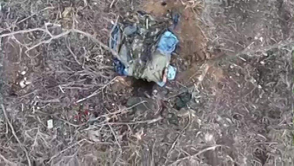 ������� ��������: ������������ ������ 752 ��� � 16 ������ �� ����� ������� 3 ���� �� ���������� �����������