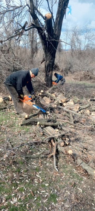 �������� ��������: ������������� � ��������