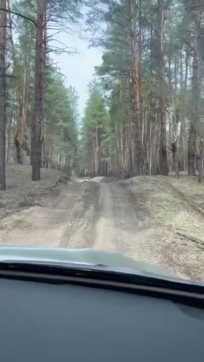 ���� ���������: 2022 �., ���, �������� - ������ ���������