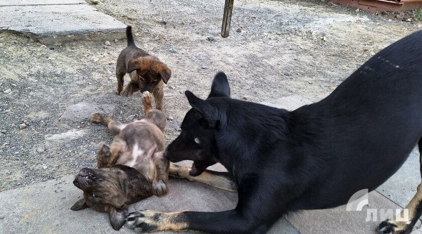 ��������� ��� ������� ������� ������ ������������ �� ��������� � ���������� ���������