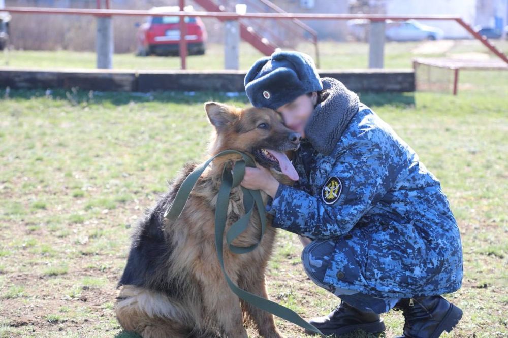 Кинологи Управления Федеральной службы исполнения наказаний по ЛНР передали жителям Республики 79 служебных собак, ушедших на заслуженный отдых