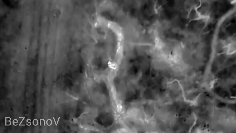  :     20-             .