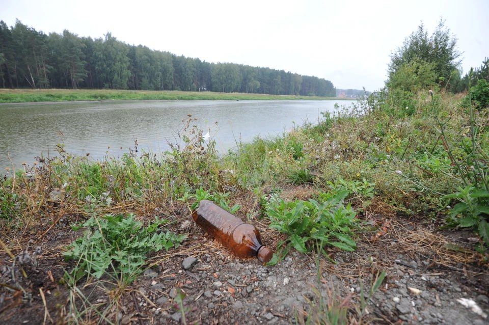 ��������� � ������� �������� ������� � ������� ����� ���� ������