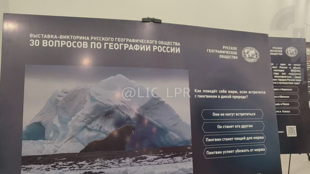 ���������� ����� �������� ��������������� �������� (���) � ��� �������� � ��������� ��������������� �������������� ������������