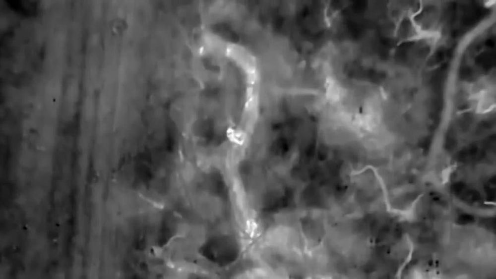 Боевики *"Азова" гинут в своих же окопах в Сватовском районе ЛНР