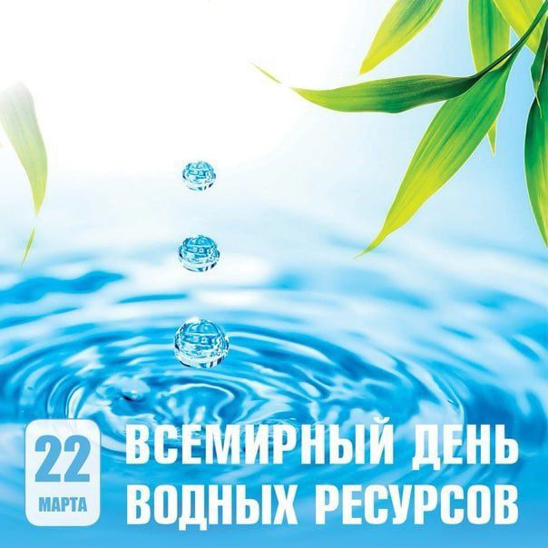 ������ �������: ��������� ���� ������ �������� �������� ���������� 22 �����