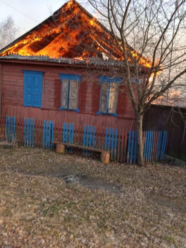  : 59  /    : 29   , 20   ,       ,    ,      ...