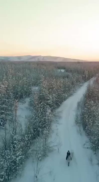 � ��� ���������� ���� ������ ���������� ��������� ������� ������
