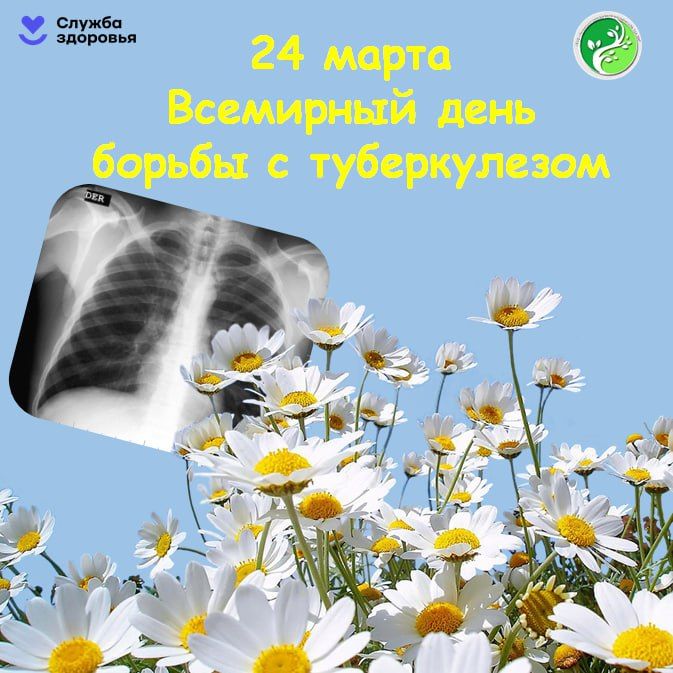 ������ ��� 24 ����� ���������� ��������� ���� ������ � �����������
