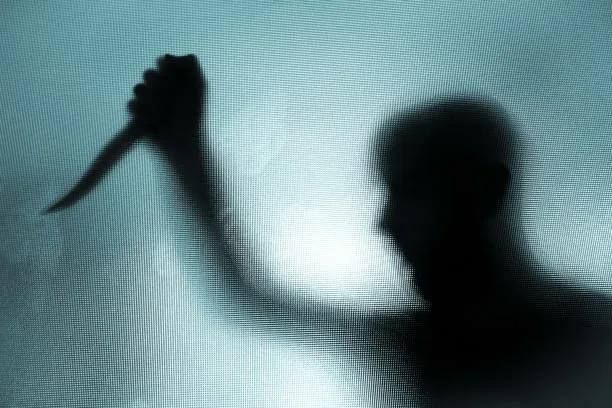 Жительница Кременной обвиняется в убийстве двух мужчин и предстанет перед судом