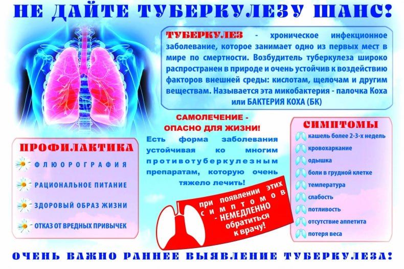 ������������ ��������: ������ ������������ ������������ �����������