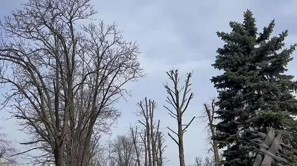 В Луганске состоялось возложение цветов в память о российских журналистах, погибших в результате артиллерийского обстрела Кременной