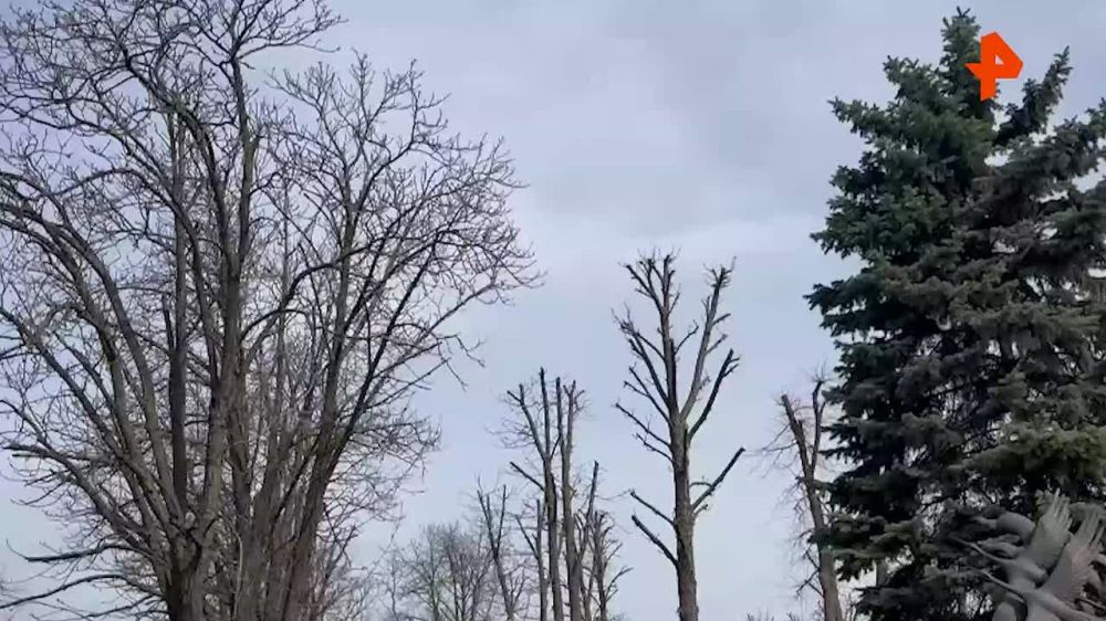 ������������� ���� ��������� ����� � ������ � ���������� �����������, �������� � ���������� ��������������� �������� � ���
