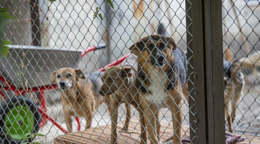 ��� ����� ���������� �� ������� � �������� ���������� ��� ��������� �������� � �������