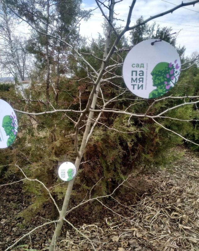 Коллектив Сватовского лесоохотничьего хозяйства в рамках международной акции «Сад памяти» высадил восемь тысяч деревьев в память о героях Отечества