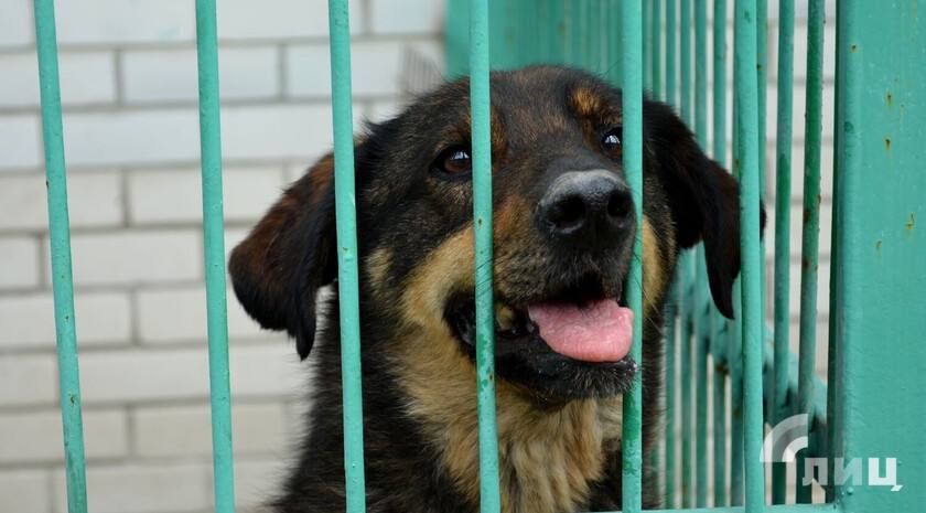 ������� ������ �������� ������������ ������ � ��������� �� ���������� ��������� ��������