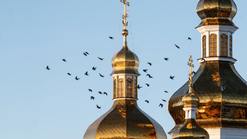 "����� ���� ������� ����� � ������ - ����� ������ ��� ���": ������� ������� ������� � ������� ����� ����� ������