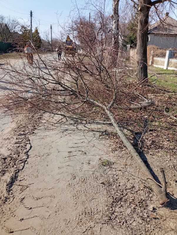 Прифронтовая Кременная уже во всю участвует в инициированной Главой Республики Леонидом Пасечником акции «Чистая Республика – 2025», сообщили в местной администрации