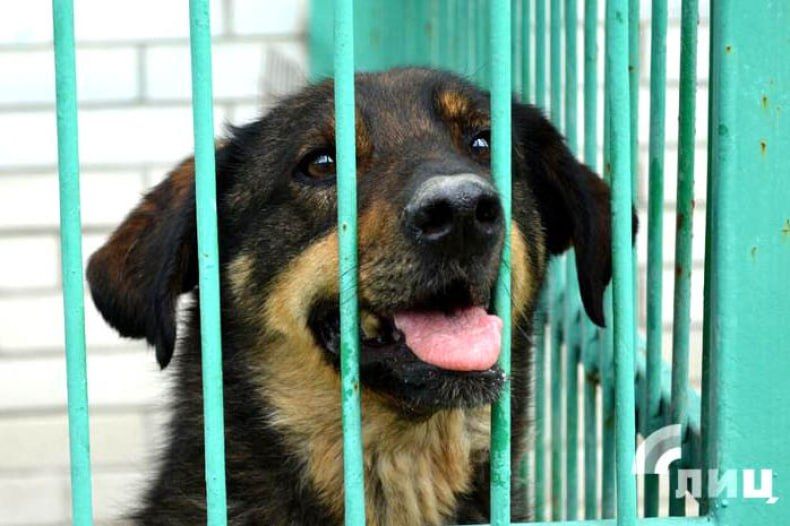 ������� ������ � ��� �������� ������� � ����������� ��������� ��������