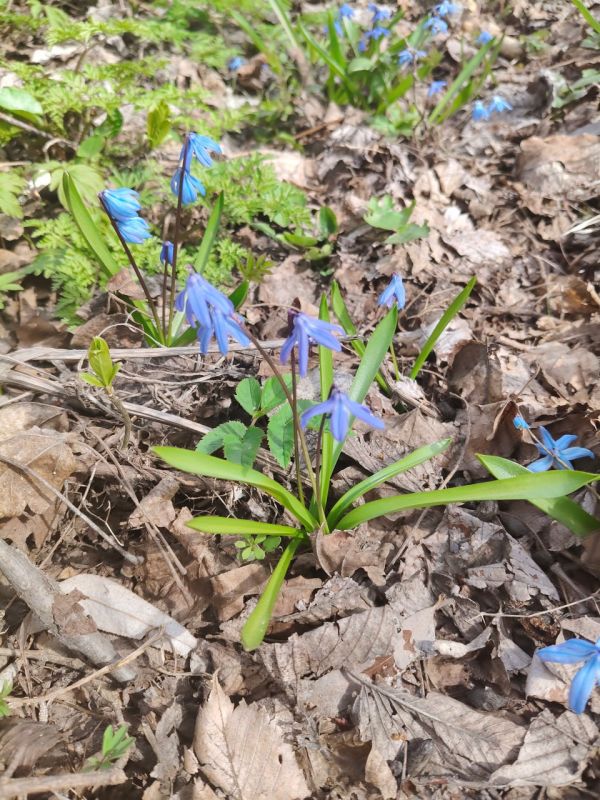 ������� ��������: ����� ���������� � ������� ��������� � ������ ����, �������� � ��������� �������!