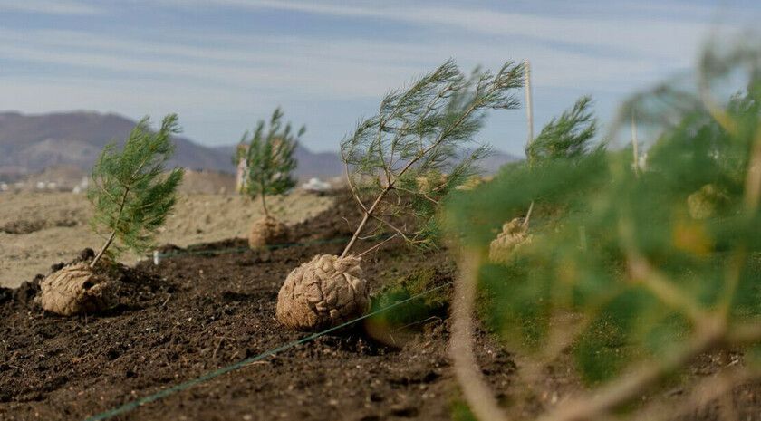 ������� ��� ���������� ������� � ���, �����������, ���������� ������� � ������